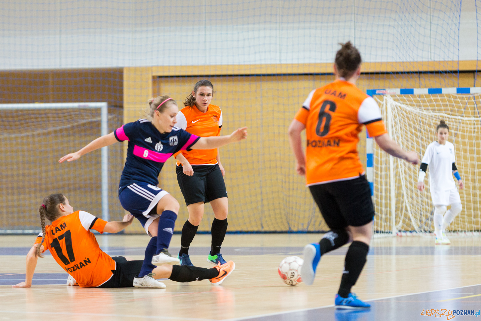 AZS UAM Poznań - AZS AWF Warszawa Foto: lepszyPOZNAN.pl/Piotr Rychter AZS UAM Poznań - AZS AWF Warszawa Foto: lepszyPOZNAN.pl/Piotr Rychter