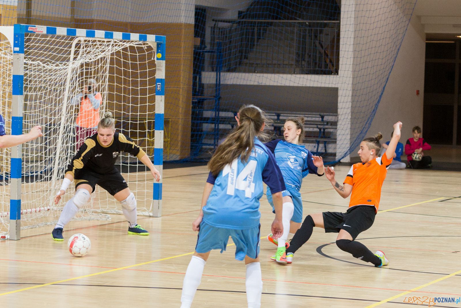 AZS UAM Poznań - AZS UW Warszawa Foto: lepszyPOZNAN.pl/Piotr Rychter AZS UAM Poznań - AZS UW Warszawa Foto: lepszyPOZNAN.pl/Piotr Rychter