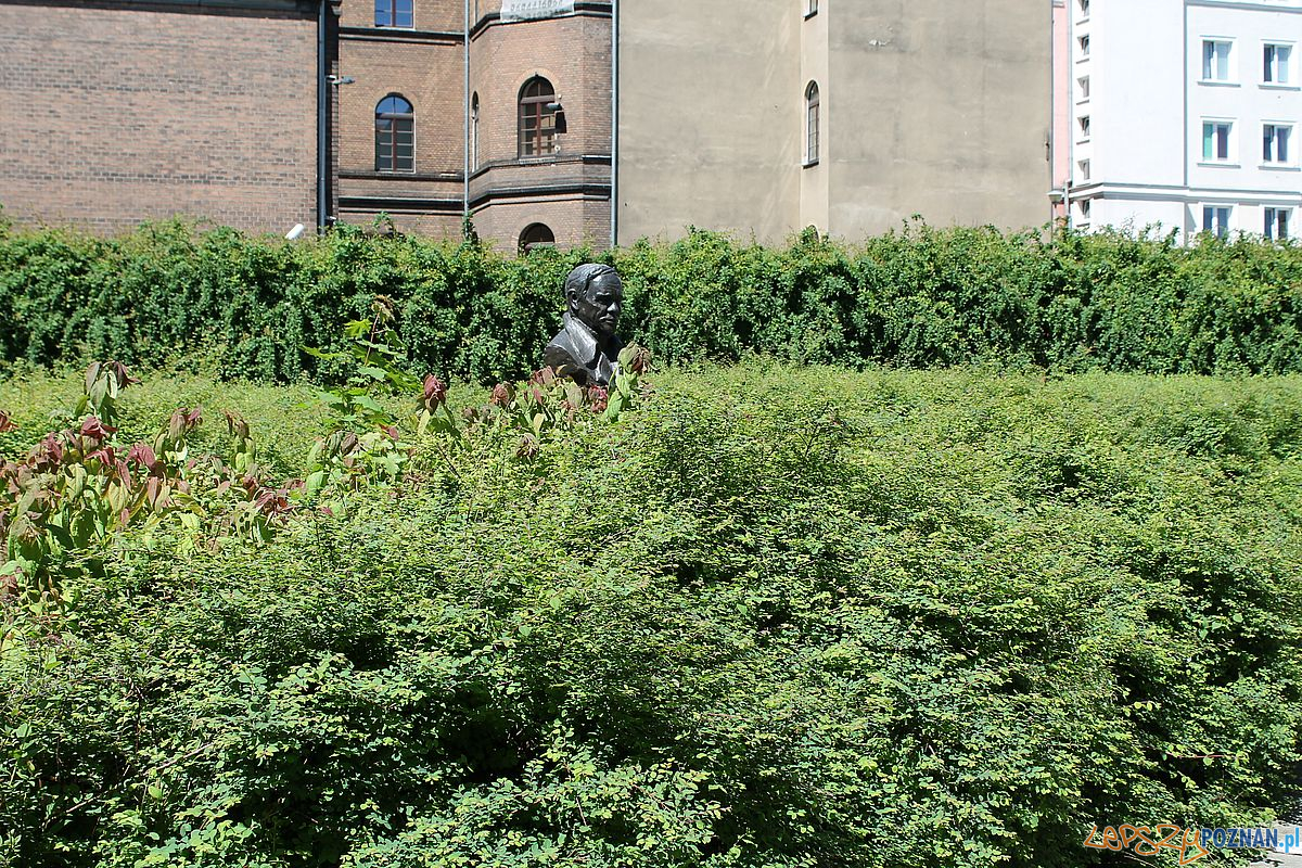 Skwer Wilhelmiego Foto: T. Dworek / ROSM Skwer Wilhelmiego Foto: T. Dworek / ROSM