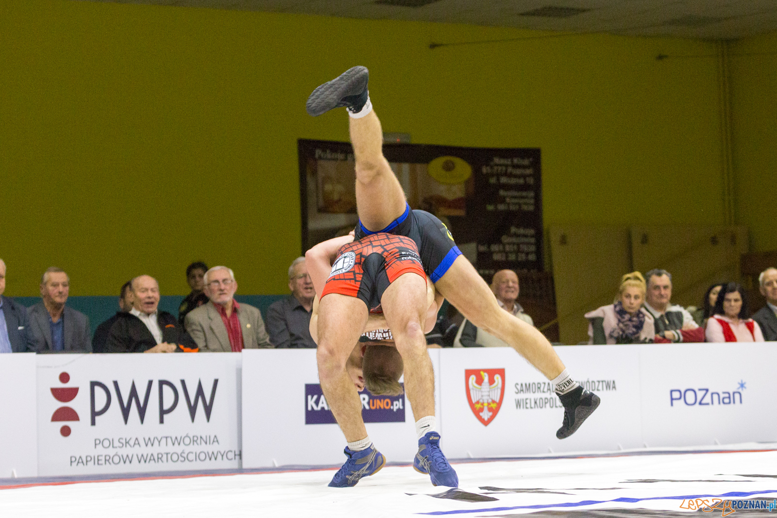 WZS WKS Grunwald – KS Sobieski Poznań - Boruta-Olimpijczyk Wr Foto: lepszyPOZNAN.pl/Piotr Rychter WZS WKS Grunwald – KS Sobieski Poznań - Boruta-Olimpijczyk Wr Foto: lepszyPOZNAN.pl/Piotr Rychter