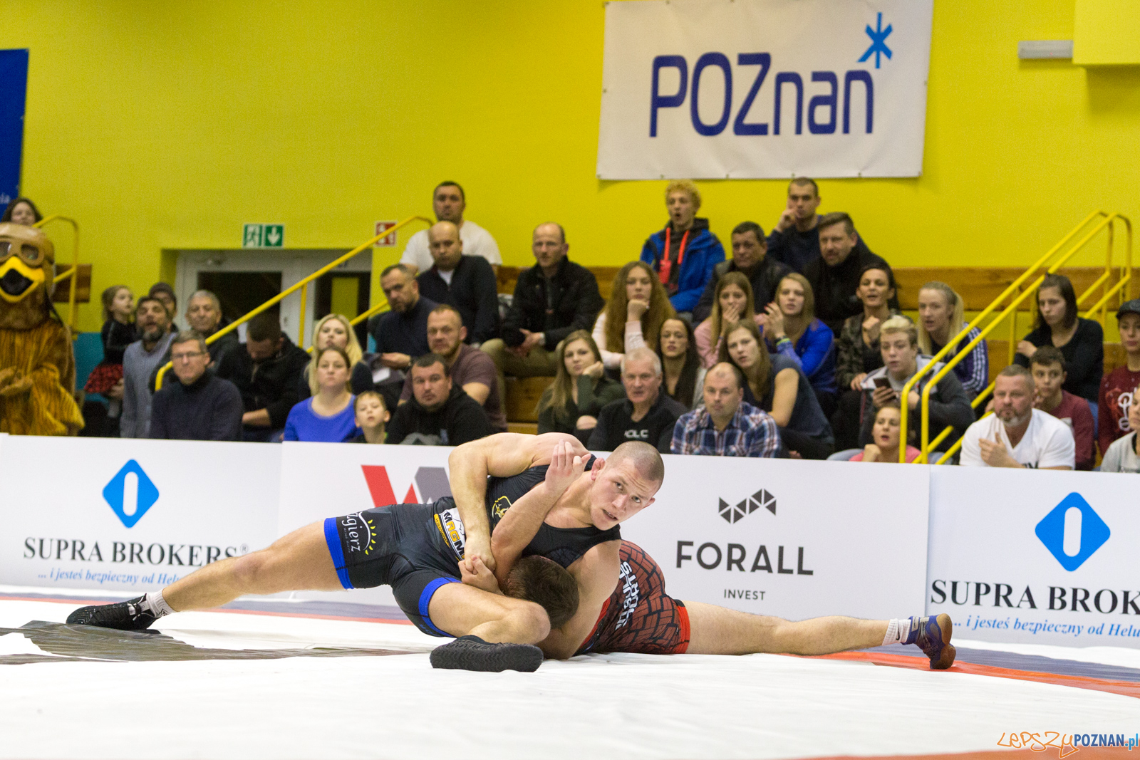 WZS WKS Grunwald – KS Sobieski Poznań - Boruta-Olimpijczyk Wr Foto: lepszyPOZNAN.pl/Piotr Rychter WZS WKS Grunwald – KS Sobieski Poznań - Boruta-Olimpijczyk Wr Foto: lepszyPOZNAN.pl/Piotr Rychter