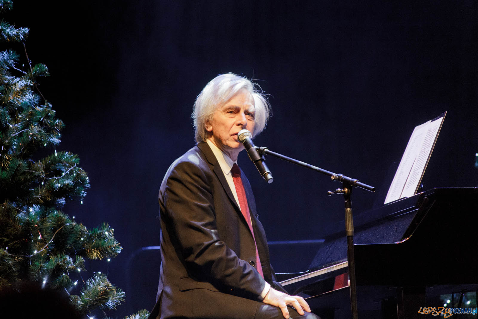 Gwiazdo Świeć, koledo leć Foto: lepszyPOZNAN.pl / Ewelina Jaskowiak Gwiazdo Świeć, koledo leć Foto: lepszyPOZNAN.pl / Ewelina Jaskowiak