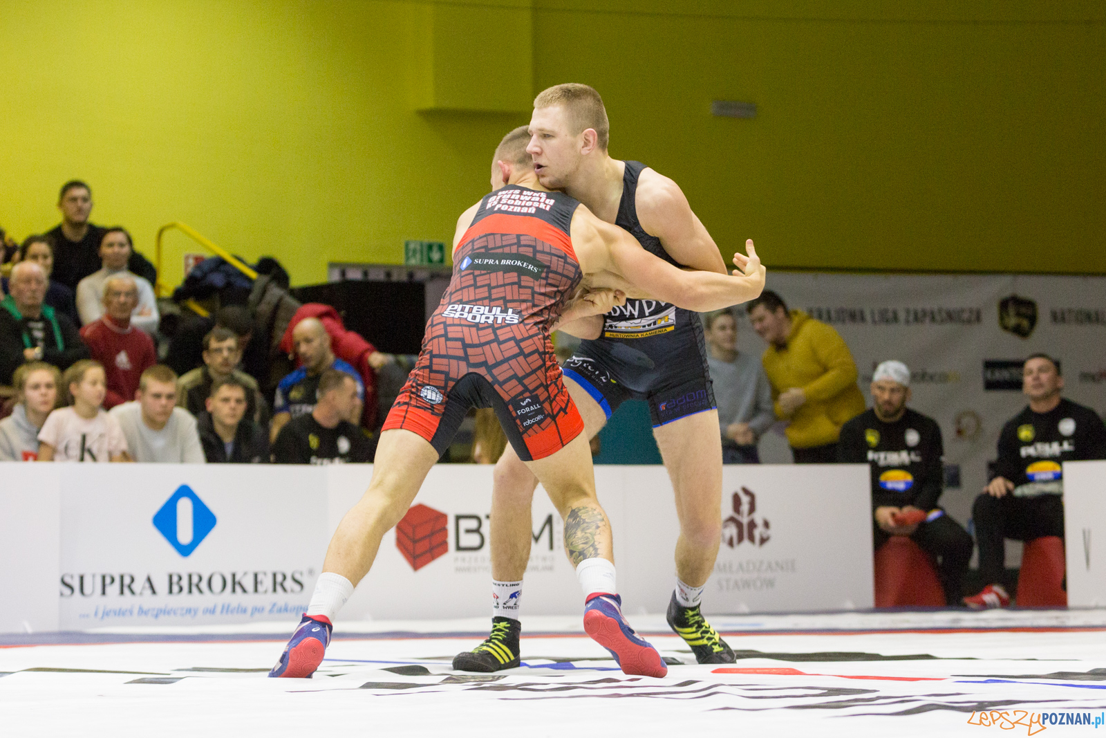 WZS WKS Grunwald – KS Sobieski Poznań - Boruta-Olimpijczyk Wr Foto: lepszyPOZNAN.pl/Piotr Rychter WZS WKS Grunwald – KS Sobieski Poznań - Boruta-Olimpijczyk Wr Foto: lepszyPOZNAN.pl/Piotr Rychter