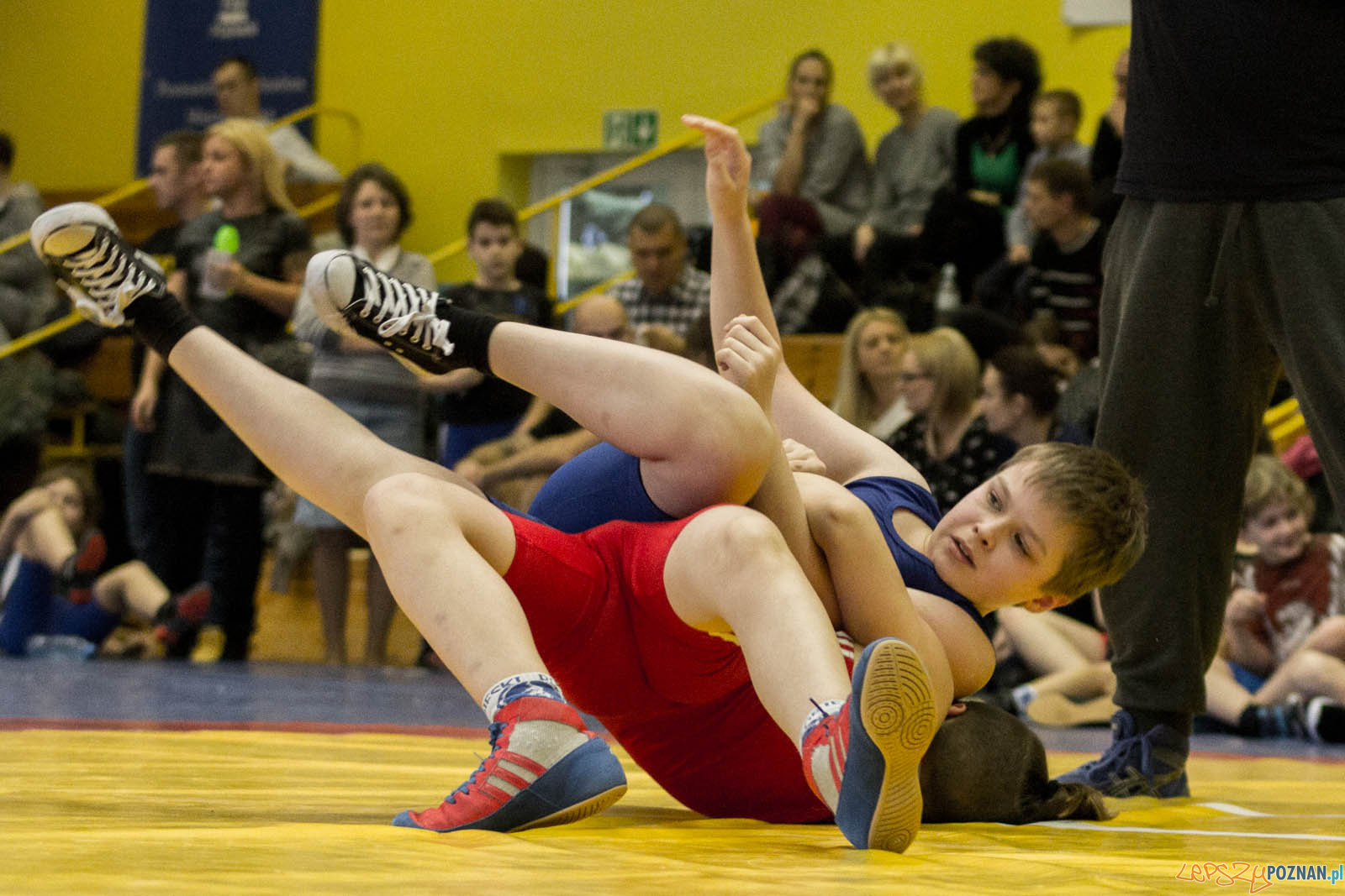 Zapasy z Gwiazdorem Foto: lepszyPOZNAN.pl / Ewelina Jaskowiak Zapasy z Gwiazdorem Foto: lepszyPOZNAN.pl / Ewelina Jaskowiak
