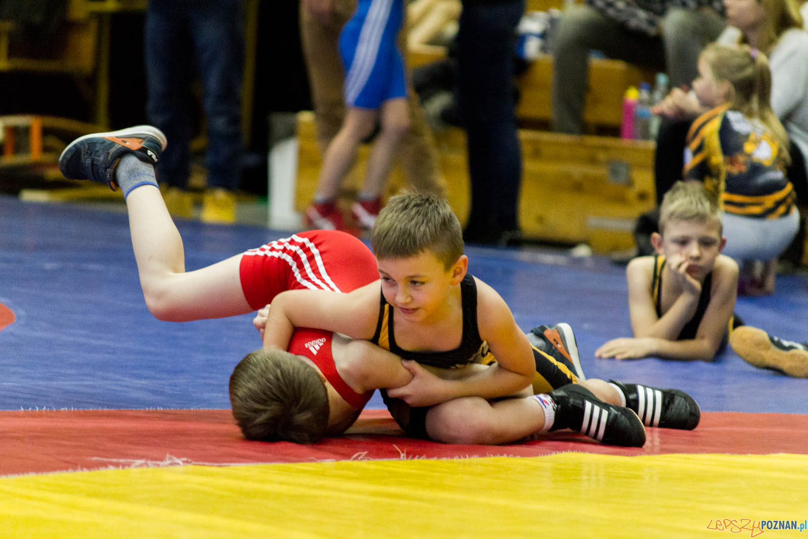 Zapasy z Gwiazdorem Foto: lepszyPOZNAN.pl / Ewelina Jaskowiak Zapasy z Gwiazdorem Foto: lepszyPOZNAN.pl / Ewelina Jaskowiak