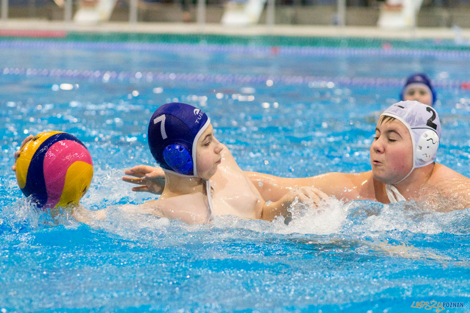 Junior Malta Waterpolo Cup 2017 Foto: lepszyPOZNAN.pl / Ewelina Jaskowiak Junior Malta Waterpolo Cup 2017 Foto: lepszyPOZNAN.pl / Ewelina Jaskowiak
