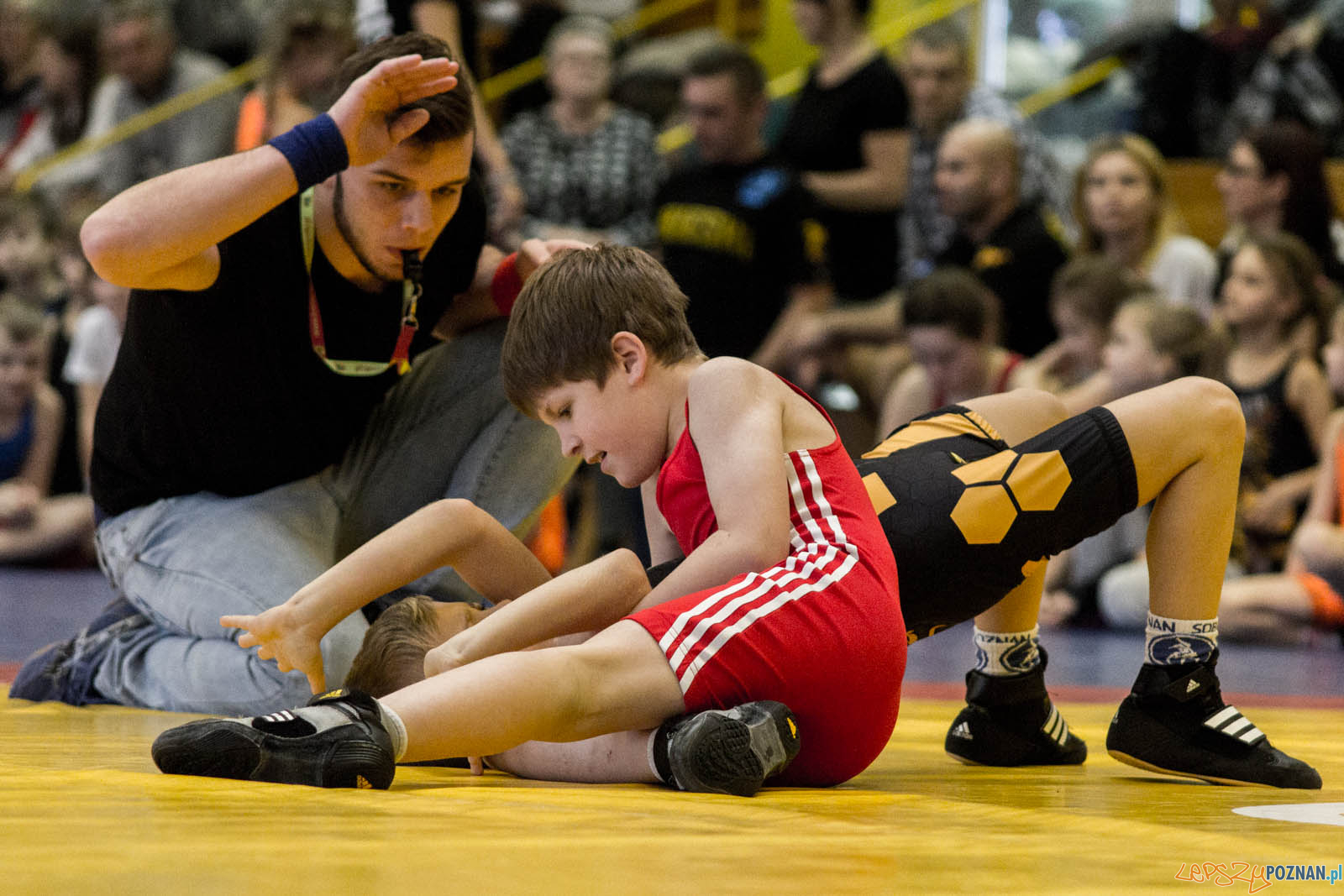 Zapasy z Gwiazdorem Foto: lepszyPOZNAN.pl / Ewelina Jaskowiak Zapasy z Gwiazdorem Foto: lepszyPOZNAN.pl / Ewelina Jaskowiak