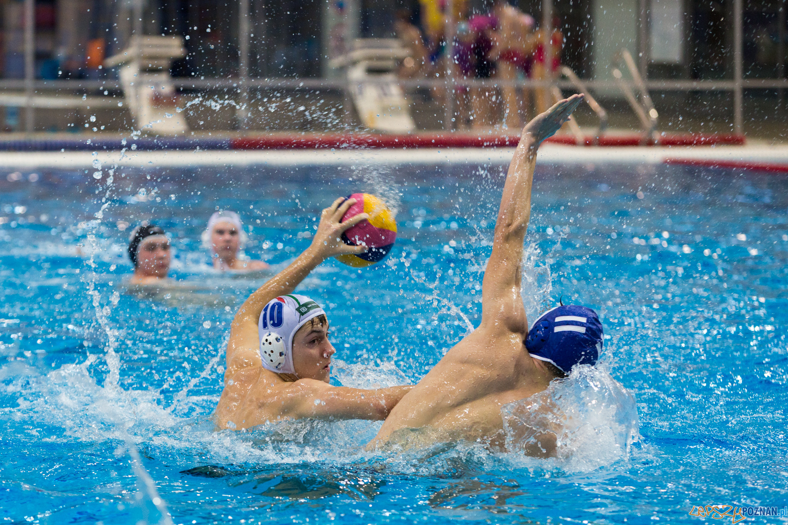 Malta Waterpolo Cup: Alfa Gorzów - Waterpolo Team Wielkopolska Foto: lepszyPOZNAN.pl/Piotr Rychter Malta Waterpolo Cup: Alfa Gorzów - Waterpolo Team Wielkopolska Foto: lepszyPOZNAN.pl/Piotr Rychter