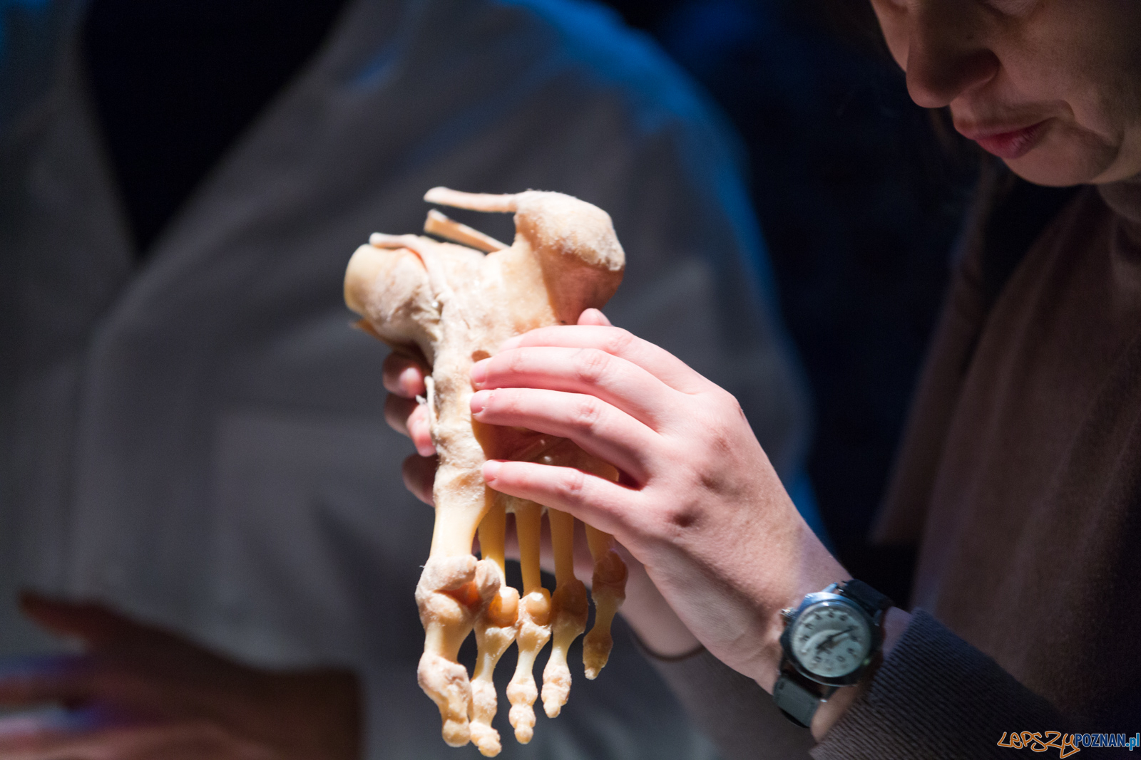 Body Worlds Foto: lepszyPOZNAN.pl/Piotr Rychter Body Worlds Foto: lepszyPOZNAN.pl/Piotr Rychter