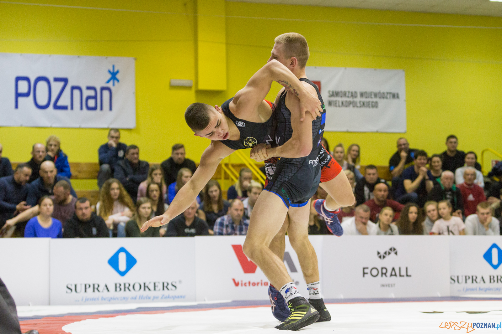 WZS WKS Grunwald – KS Sobieski Poznań - Boruta-Olimpijczyk Wr Foto: lepszyPOZNAN.pl/Piotr Rychter WZS WKS Grunwald – KS Sobieski Poznań - Boruta-Olimpijczyk Wr Foto: lepszyPOZNAN.pl/Piotr Rychter