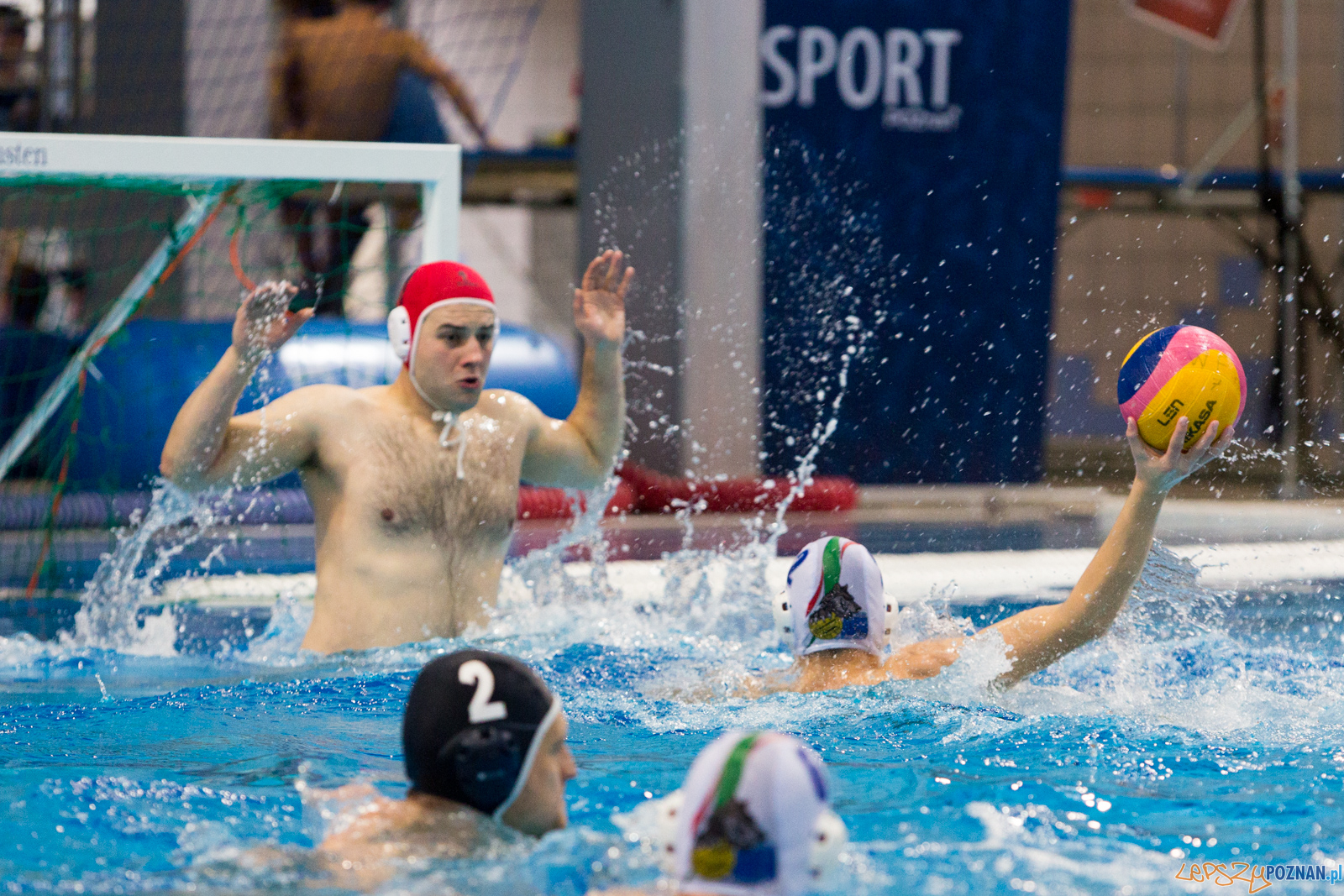Malta Waterpolo Cup: Alfa Gorzów - Waterpolo Team Wielkopolska Foto: lepszyPOZNAN.pl/Piotr Rychter Malta Waterpolo Cup: Alfa Gorzów - Waterpolo Team Wielkopolska Foto: lepszyPOZNAN.pl/Piotr Rychter