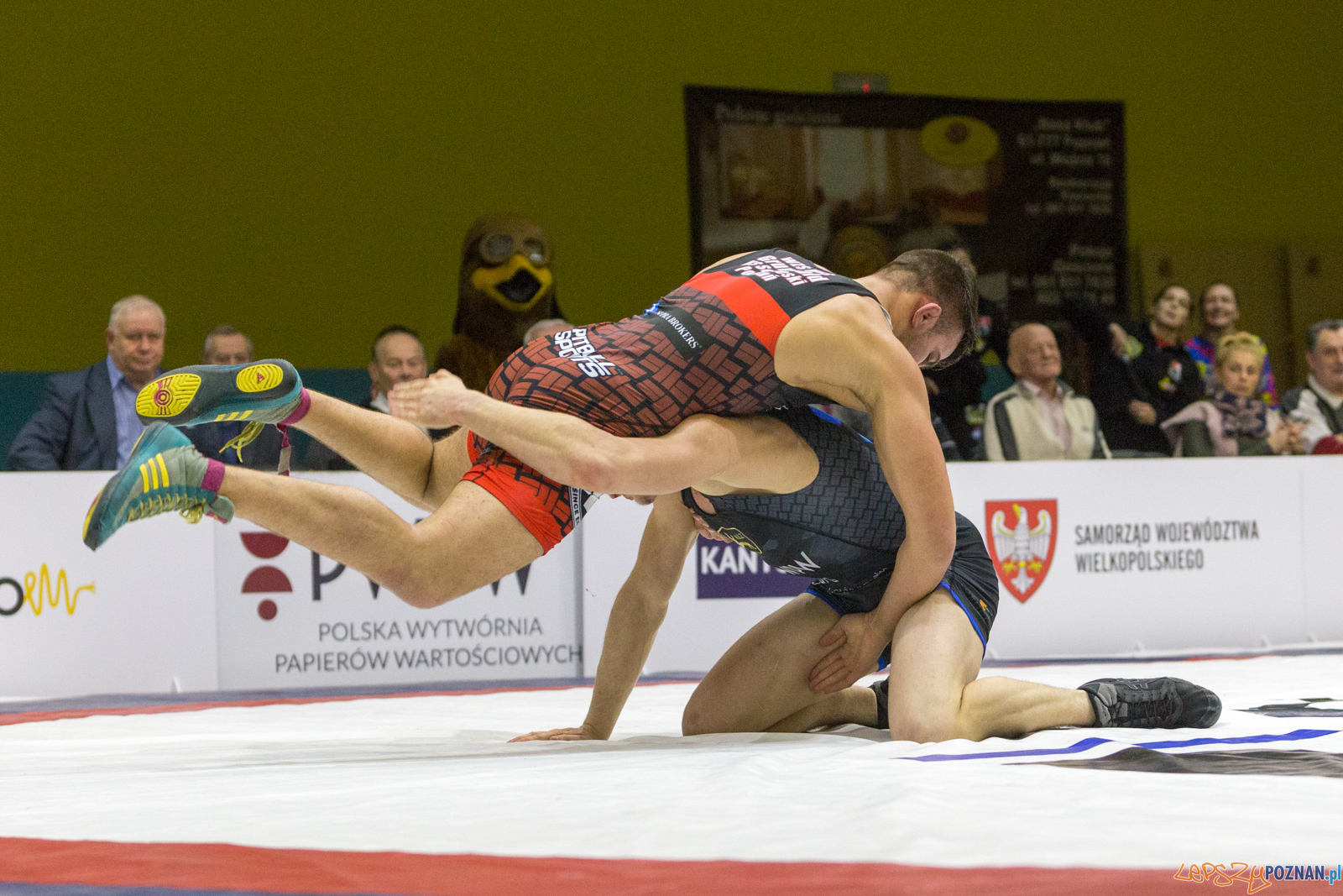 WZS WKS Grunwald – KS Sobieski Poznań - Boruta-Olimpijczyk Wr Foto: lepszyPOZNAN.pl/Piotr Rychter WZS WKS Grunwald – KS Sobieski Poznań - Boruta-Olimpijczyk Wr Foto: lepszyPOZNAN.pl/Piotr Rychter