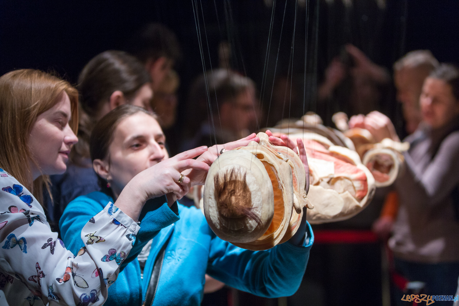 Body Worlds Foto: lepszyPOZNAN.pl/Piotr Rychter Body Worlds Foto: lepszyPOZNAN.pl/Piotr Rychter