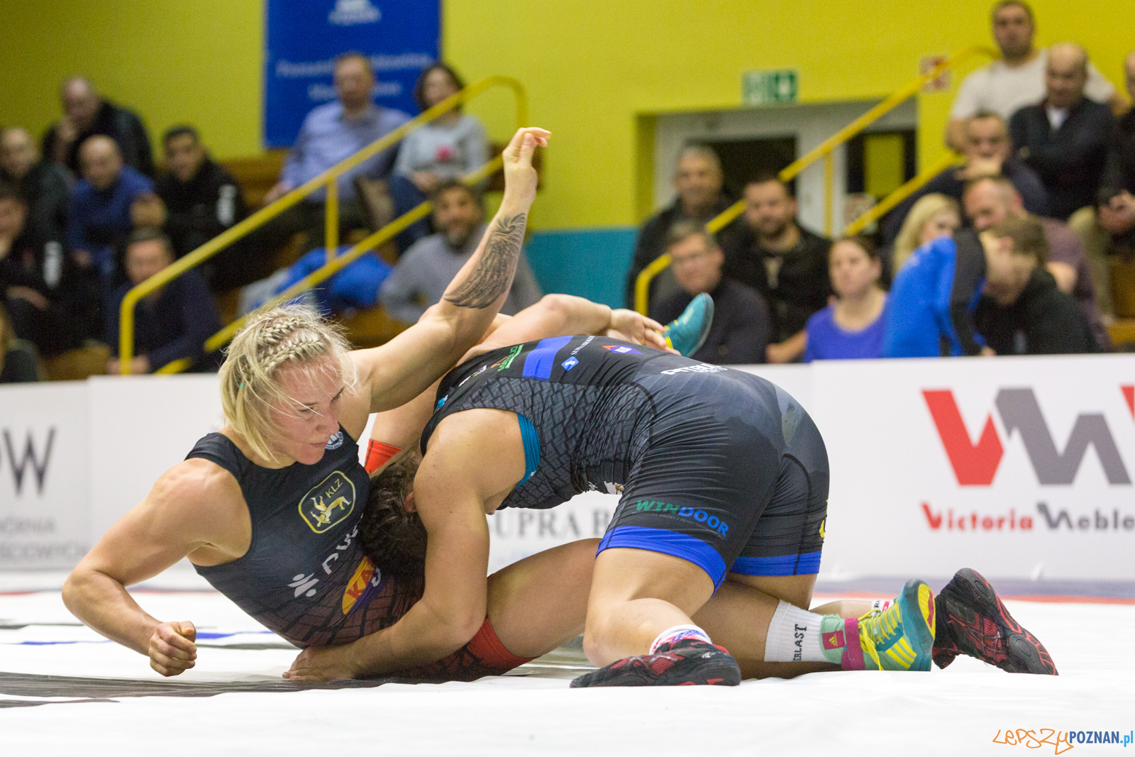 WZS WKS Grunwald – KS Sobieski Poznań - Boruta-Olimpijczyk Wr Foto: lepszyPOZNAN.pl/Piotr Rychter WZS WKS Grunwald – KS Sobieski Poznań - Boruta-Olimpijczyk Wr Foto: lepszyPOZNAN.pl/Piotr Rychter