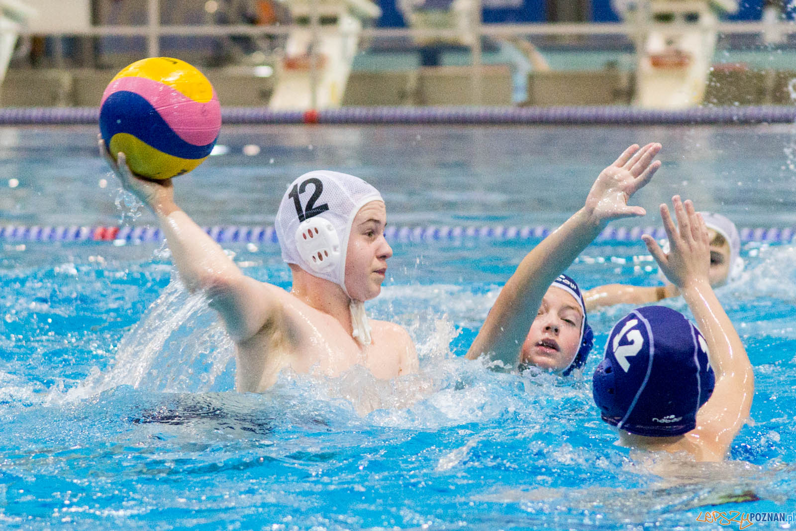 Junior Malta Waterpolo Cup 2017 Foto: lepszyPOZNAN.pl / Ewelina Jaskowiak Junior Malta Waterpolo Cup 2017 Foto: lepszyPOZNAN.pl / Ewelina Jaskowiak