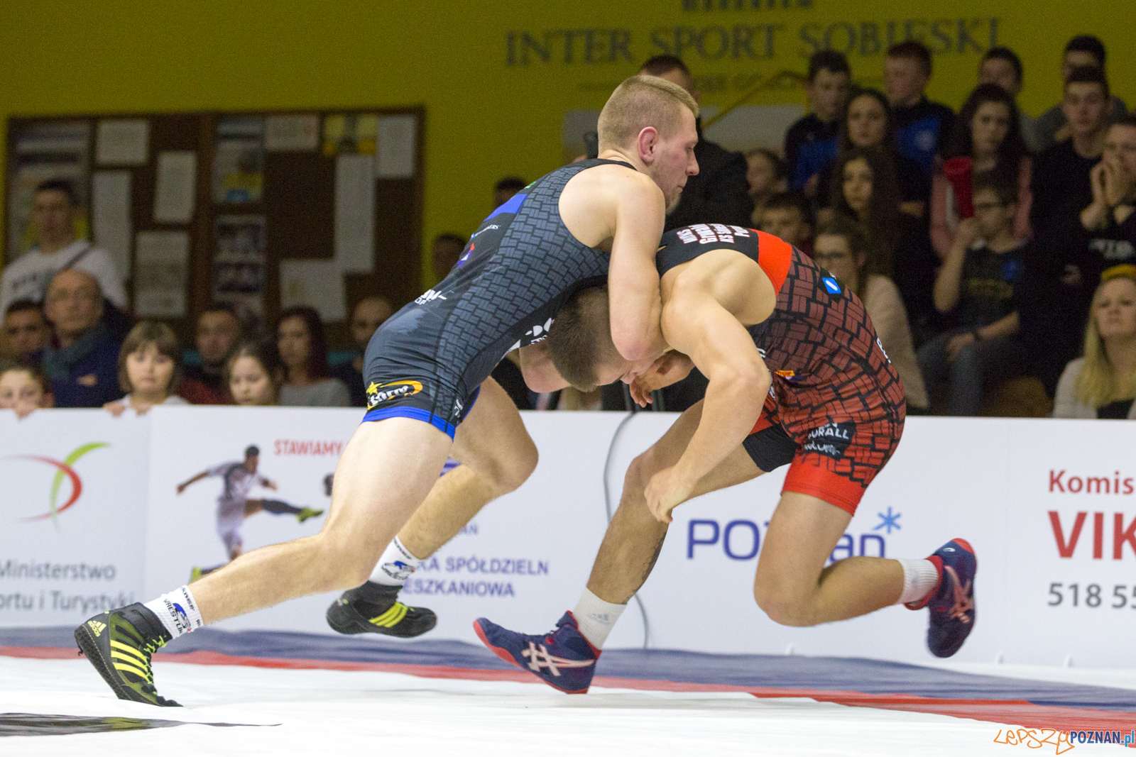 WZS WKS Grunwald – KS Sobieski Poznań - Boruta-Olimpijczyk Wr Foto: lepszyPOZNAN.pl/Piotr Rychter WZS WKS Grunwald – KS Sobieski Poznań - Boruta-Olimpijczyk Wr Foto: lepszyPOZNAN.pl/Piotr Rychter