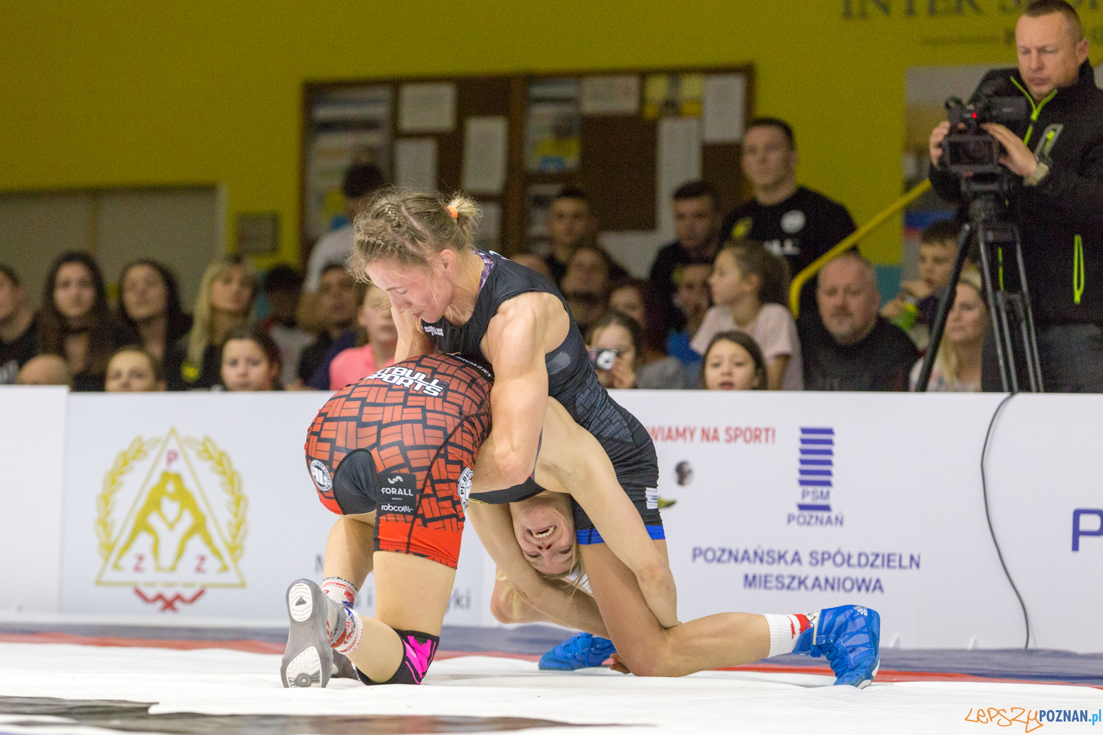 WZS WKS Grunwald – KS Sobieski Poznań - Boruta-Olimpijczyk Wr Foto: lepszyPOZNAN.pl/Piotr Rychter WZS WKS Grunwald – KS Sobieski Poznań - Boruta-Olimpijczyk Wr Foto: lepszyPOZNAN.pl/Piotr Rychter