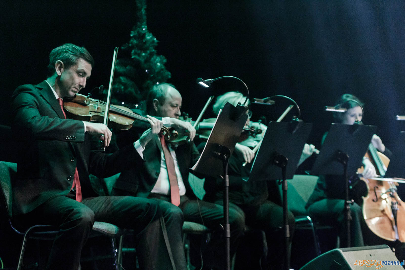 Gwiazdo Świeć, koledo leć Foto: lepszyPOZNAN.pl / Ewelina Jaskowiak Gwiazdo Świeć, koledo leć Foto: lepszyPOZNAN.pl / Ewelina Jaskowiak