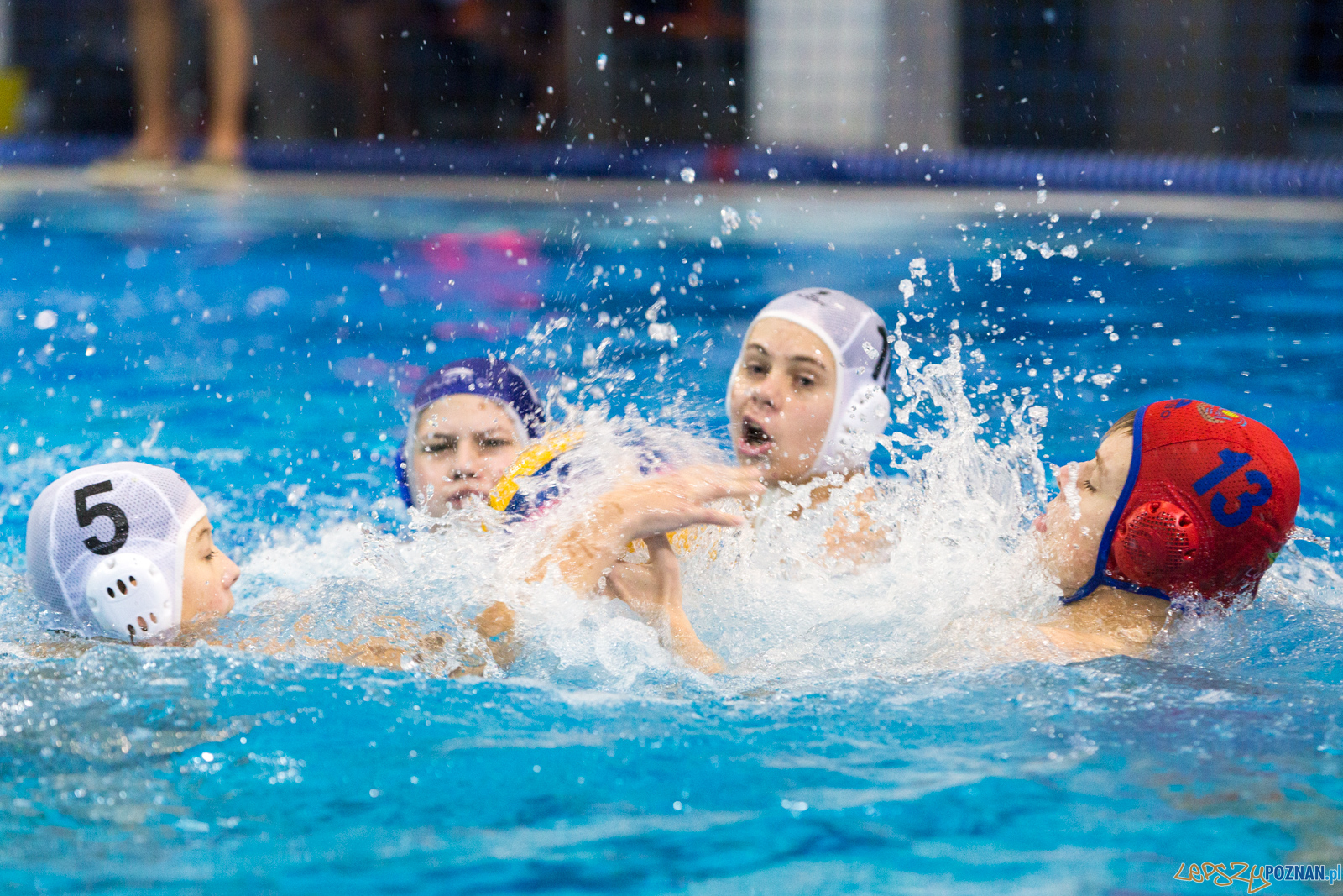 Junior Malta Waterpolo Cup 2017 Foto: lepszyPOZNAN.pl/Piotr Rychter Junior Malta Waterpolo Cup 2017 Foto: lepszyPOZNAN.pl/Piotr Rychter