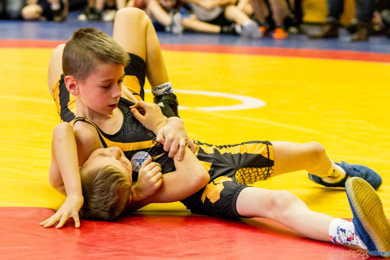 Zapasy z Gwiazdorem Foto: lepszyPOZNAN.pl / Ewelina Jaskowiak Zapasy z Gwiazdorem Foto: lepszyPOZNAN.pl / Ewelina Jaskowiak