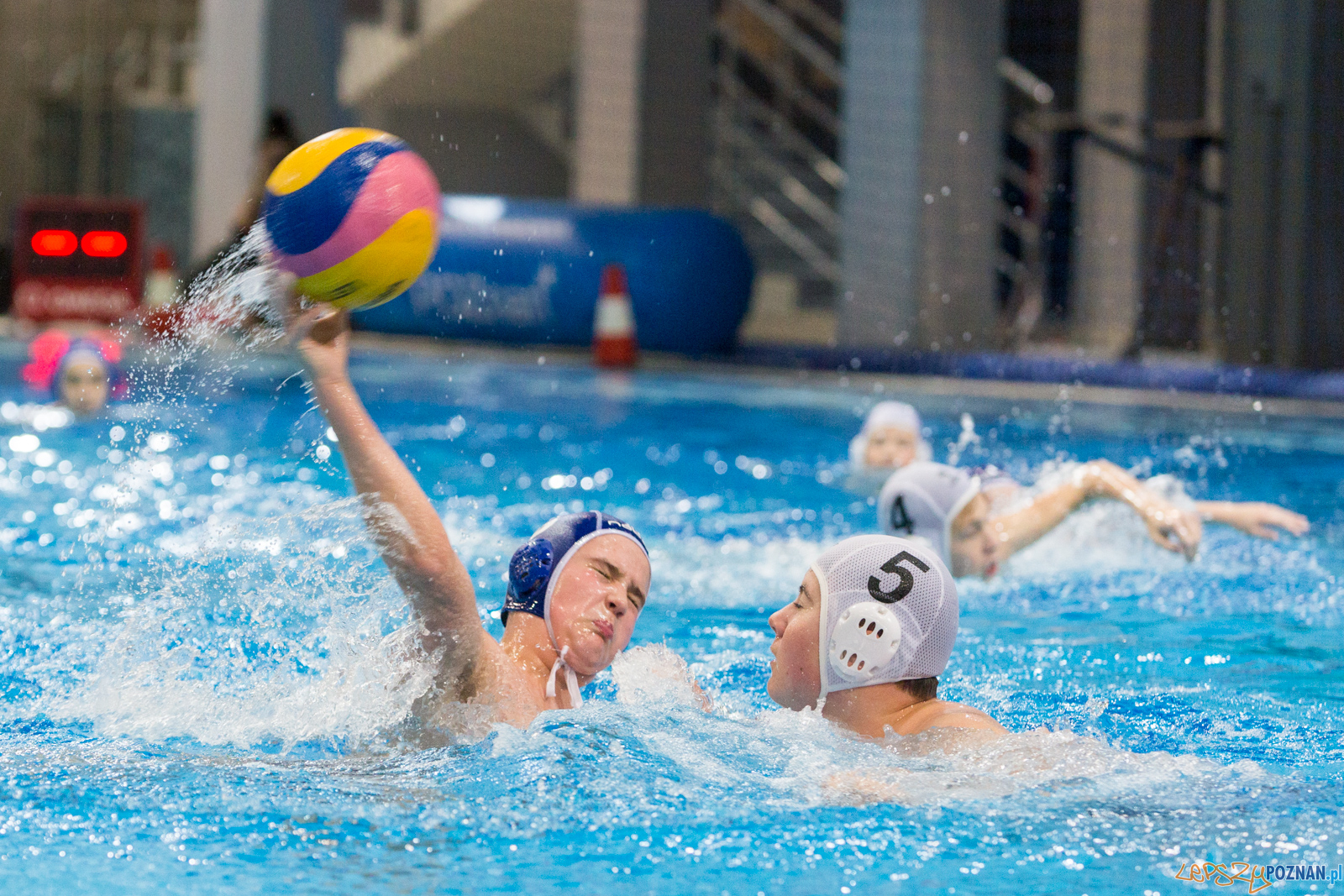 Junior Malta Waterpolo Cup 2017 Foto: lepszyPOZNAN.pl/Piotr Rychter Junior Malta Waterpolo Cup 2017 Foto: lepszyPOZNAN.pl/Piotr Rychter