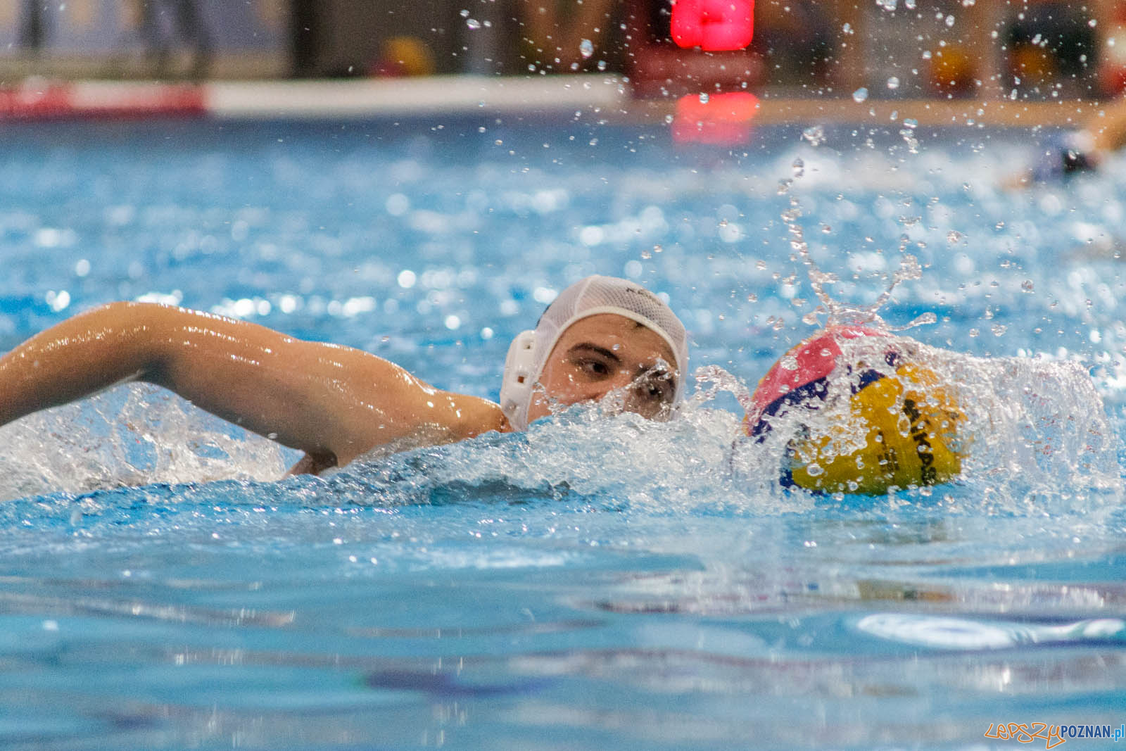 Malta Waterpolo Cup 2017 Foto: lepszyPOZNAN.pl / Ewelina Jaskowiak Malta Waterpolo Cup 2017 Foto: lepszyPOZNAN.pl / Ewelina Jaskowiak
