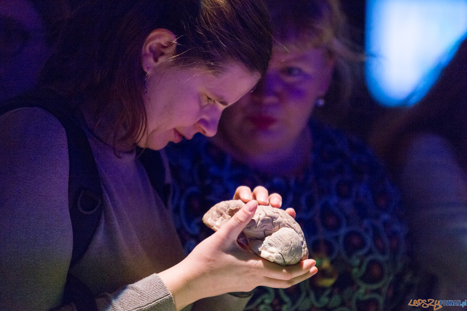 Body Worlds Foto: lepszyPOZNAN.pl/Piotr Rychter Body Worlds Foto: lepszyPOZNAN.pl/Piotr Rychter