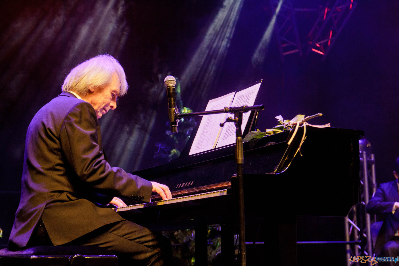 Gwiazdo Świeć, koledo leć Foto: lepszyPOZNAN.pl / Ewelina Jaskowiak Gwiazdo Świeć, koledo leć Foto: lepszyPOZNAN.pl / Ewelina Jaskowiak