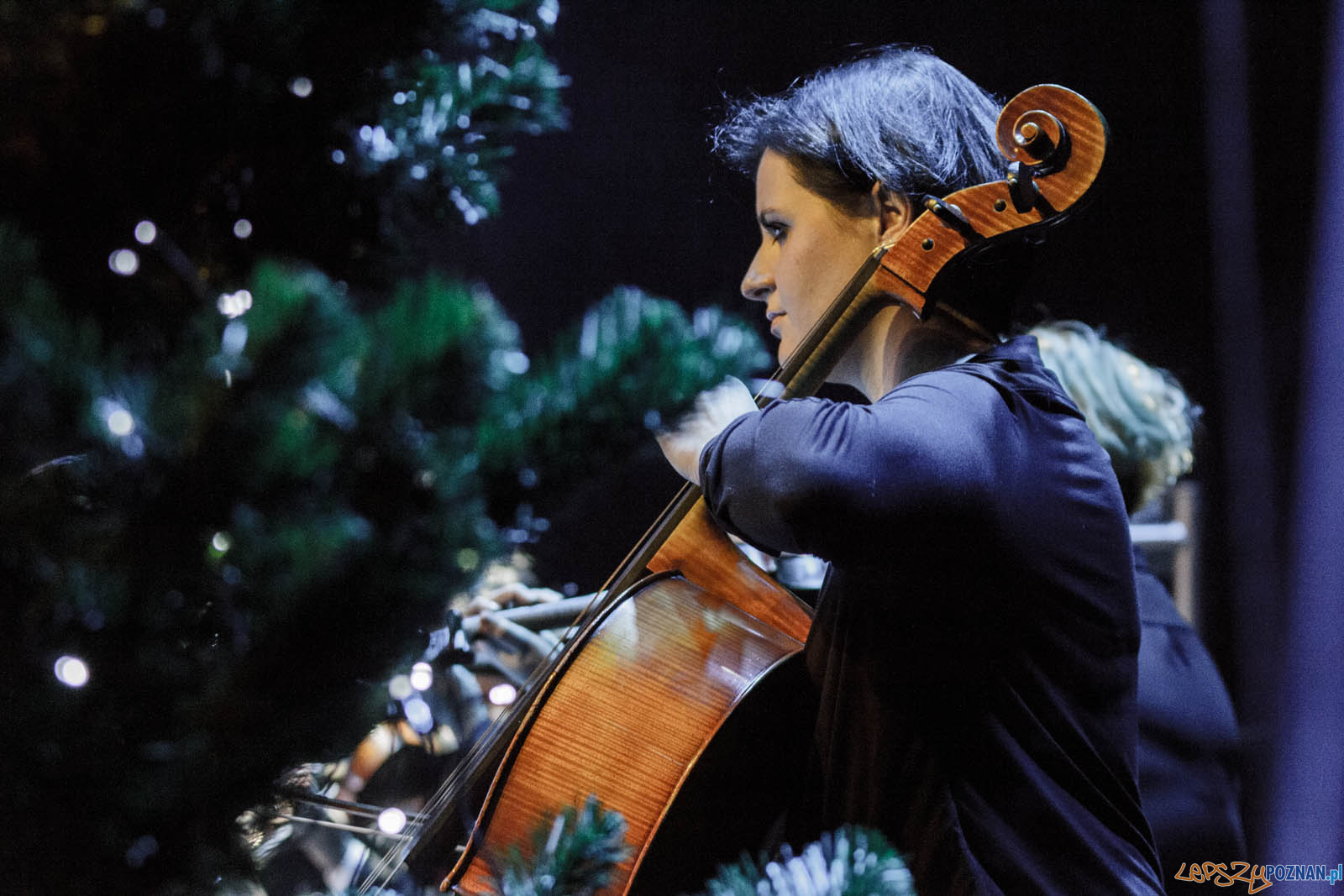 Gwiazdo Świeć, koledo leć Foto: lepszyPOZNAN.pl / Ewelina Jaskowiak Gwiazdo Świeć, koledo leć Foto: lepszyPOZNAN.pl / Ewelina Jaskowiak