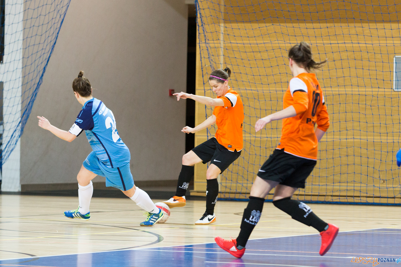 AZS UAM Poznań - AZS UW Warszawa Foto: lepszyPOZNAN.pl/Piotr Rychter AZS UAM Poznań - AZS UW Warszawa Foto: lepszyPOZNAN.pl/Piotr Rychter