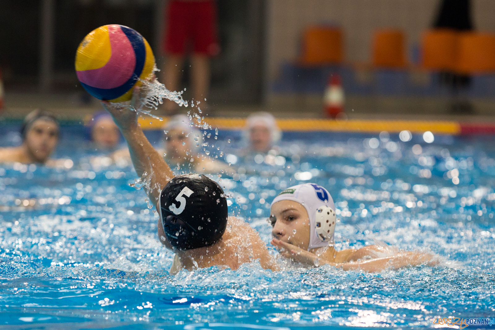 Malta Waterpolo Cup: Alfa Gorzów - Waterpolo Team Wielkopolska Foto: lepszyPOZNAN.pl/Piotr Rychter Malta Waterpolo Cup: Alfa Gorzów - Waterpolo Team Wielkopolska Foto: lepszyPOZNAN.pl/Piotr Rychter