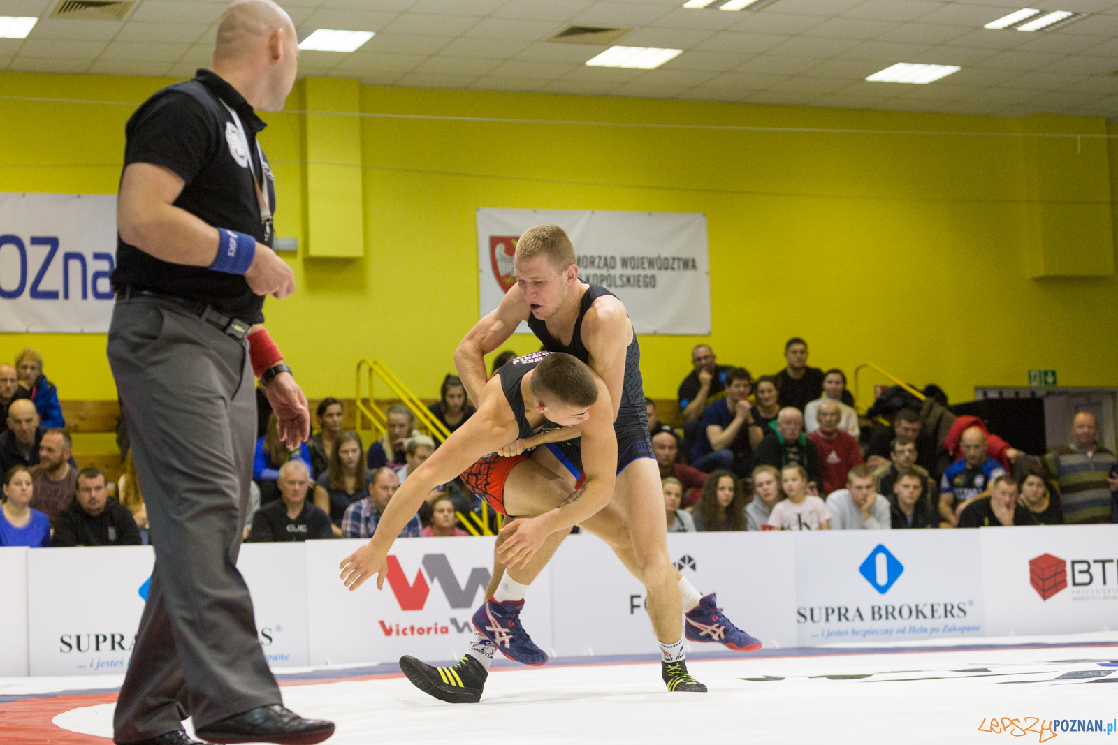 WZS WKS Grunwald – KS Sobieski Poznań - Boruta-Olimpijczyk Wr Foto: lepszyPOZNAN.pl/Piotr Rychter WZS WKS Grunwald – KS Sobieski Poznań - Boruta-Olimpijczyk Wr Foto: lepszyPOZNAN.pl/Piotr Rychter