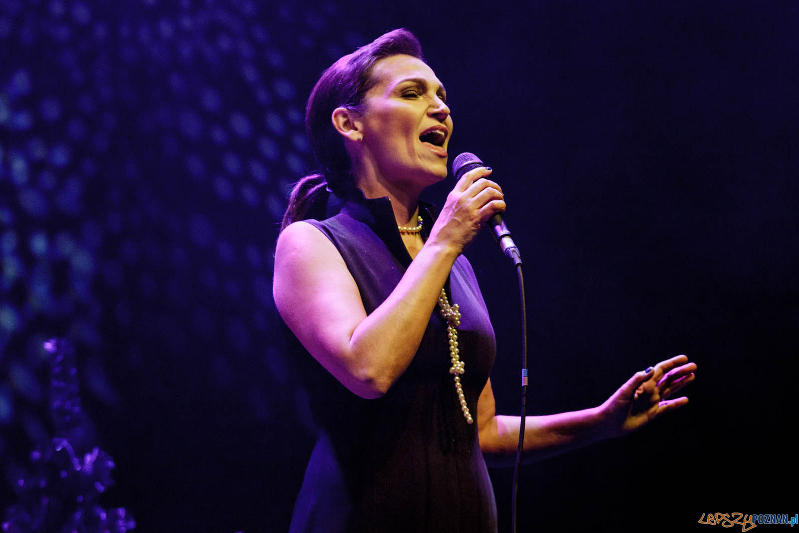 Gwiazdo Świeć, koledo leć Foto: lepszyPOZNAN.pl / Ewelina Jaskowiak Gwiazdo Świeć, koledo leć Foto: lepszyPOZNAN.pl / Ewelina Jaskowiak