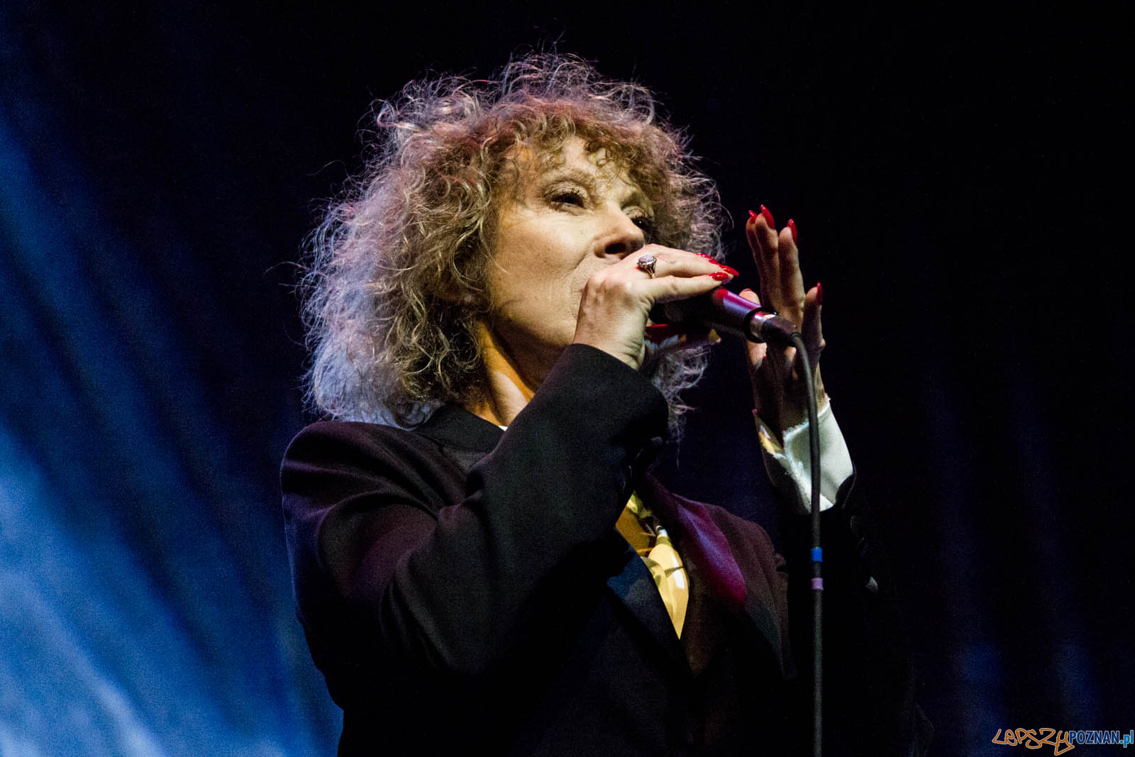 Gwiazdo Świeć, koledo leć Foto: lepszyPOZNAN.pl / Ewelina Jaskowiak Gwiazdo Świeć, koledo leć Foto: lepszyPOZNAN.pl / Ewelina Jaskowiak