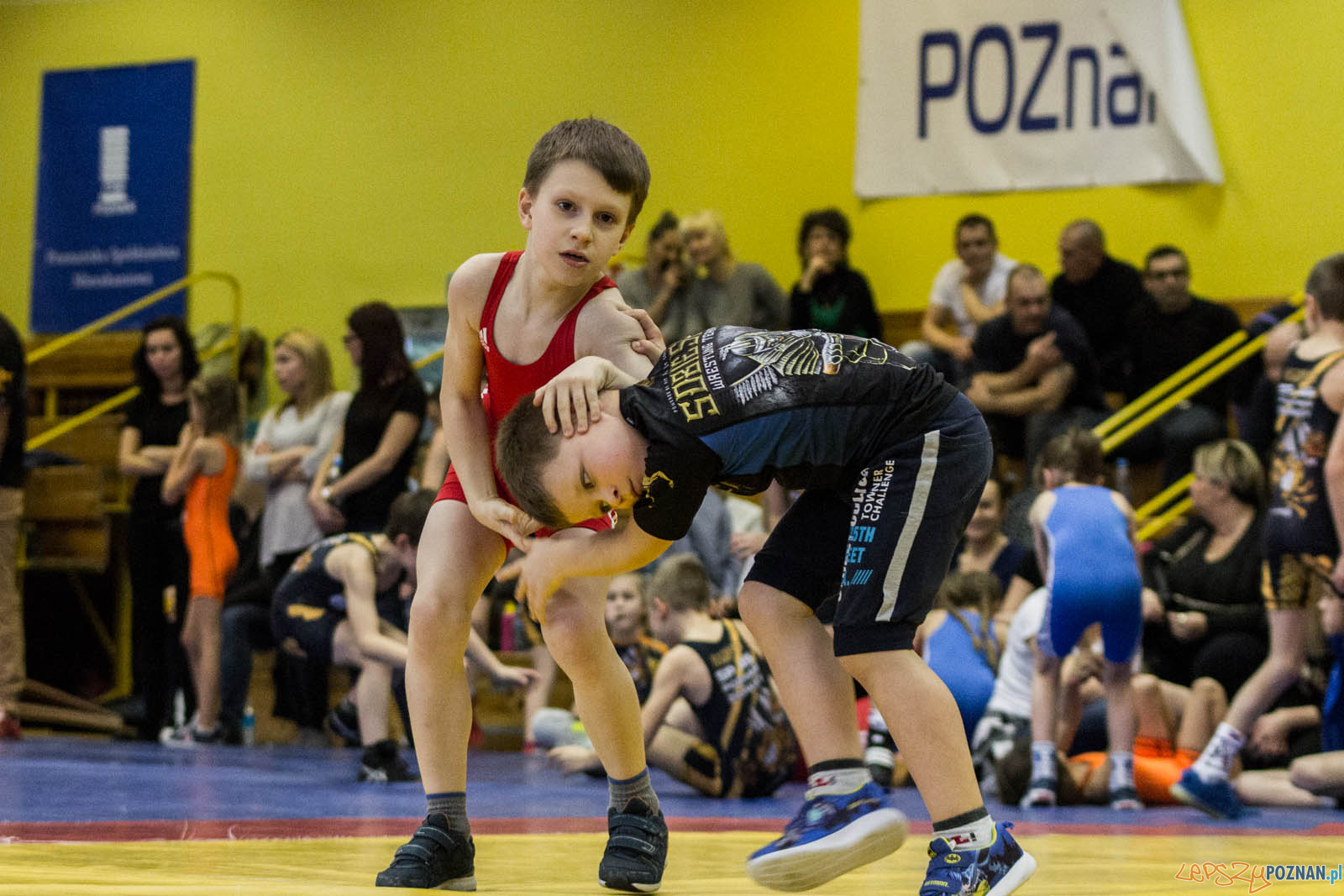 Zapasy z Gwiazdorem Foto: lepszyPOZNAN.pl / Ewelina Jaskowiak Zapasy z Gwiazdorem Foto: lepszyPOZNAN.pl / Ewelina Jaskowiak