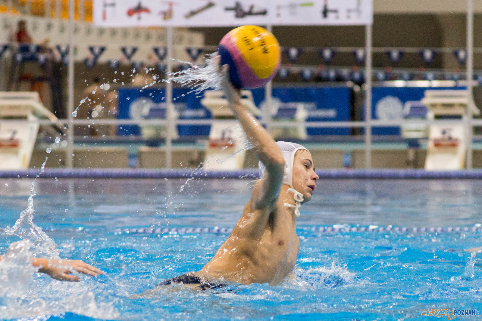 Junior Malta Waterpolo Cup 2017 Foto: lepszyPOZNAN.pl / Ewelina Jaskowiak Junior Malta Waterpolo Cup 2017 Foto: lepszyPOZNAN.pl / Ewelina Jaskowiak