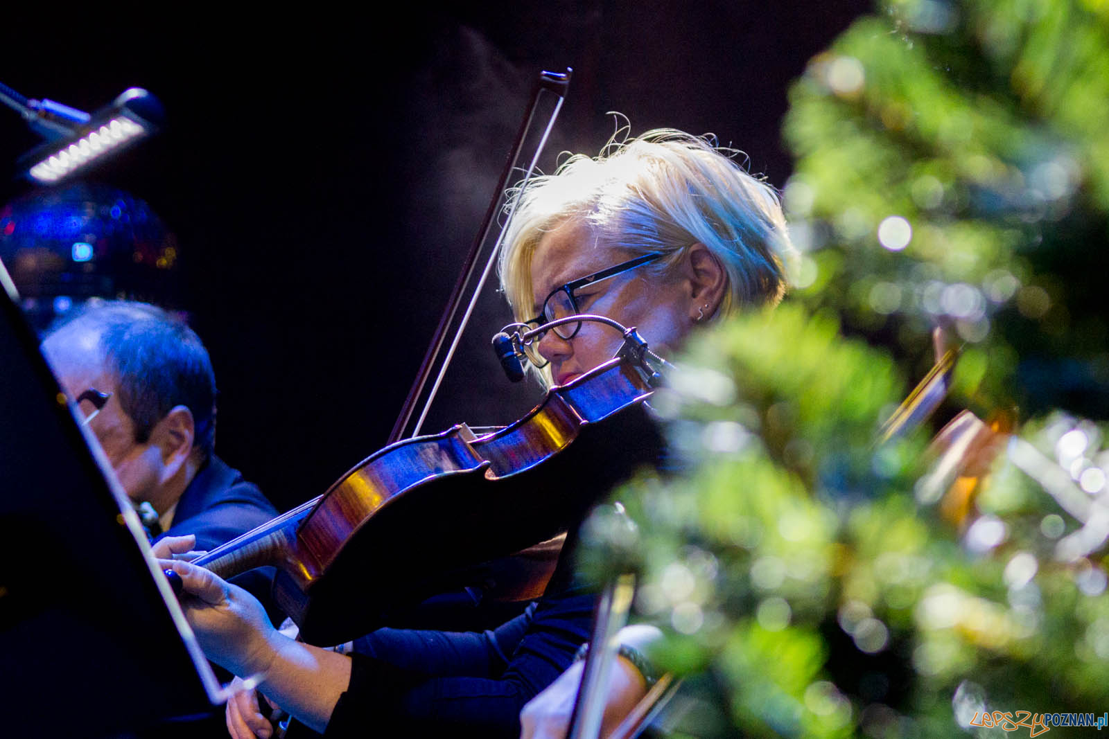 Gwiazdo Świeć, koledo leć Foto: lepszyPOZNAN.pl / Ewelina Jaskowiak Gwiazdo Świeć, koledo leć Foto: lepszyPOZNAN.pl / Ewelina Jaskowiak