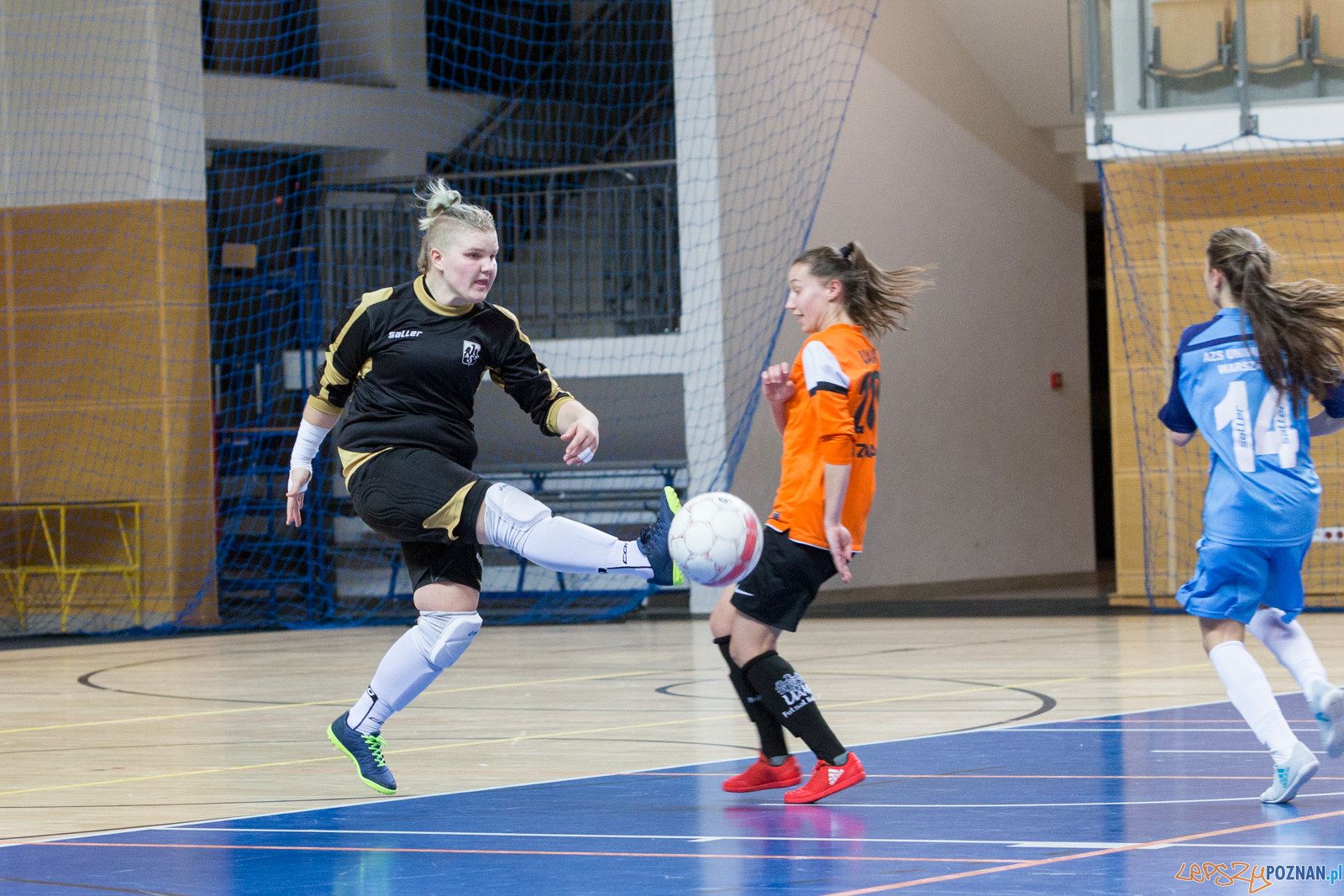 AZS UAM Poznań - AZS UW Warszawa Foto: lepszyPOZNAN.pl/Piotr Rychter AZS UAM Poznań - AZS UW Warszawa Foto: lepszyPOZNAN.pl/Piotr Rychter