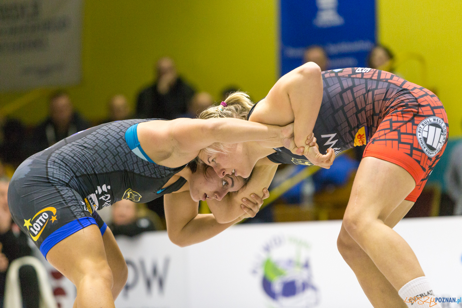 WZS WKS Grunwald – KS Sobieski Poznań - Boruta-Olimpijczyk Wr Foto: lepszyPOZNAN.pl/Piotr Rychter WZS WKS Grunwald – KS Sobieski Poznań - Boruta-Olimpijczyk Wr Foto: lepszyPOZNAN.pl/Piotr Rychter