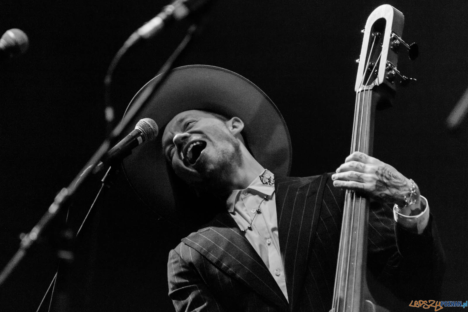 Wojtek Mazolewski Foto: lepszyPOZNAN.pl / Ewelina Jaskowiak Wojtek Mazolewski Foto: lepszyPOZNAN.pl / Ewelina Jaskowiak