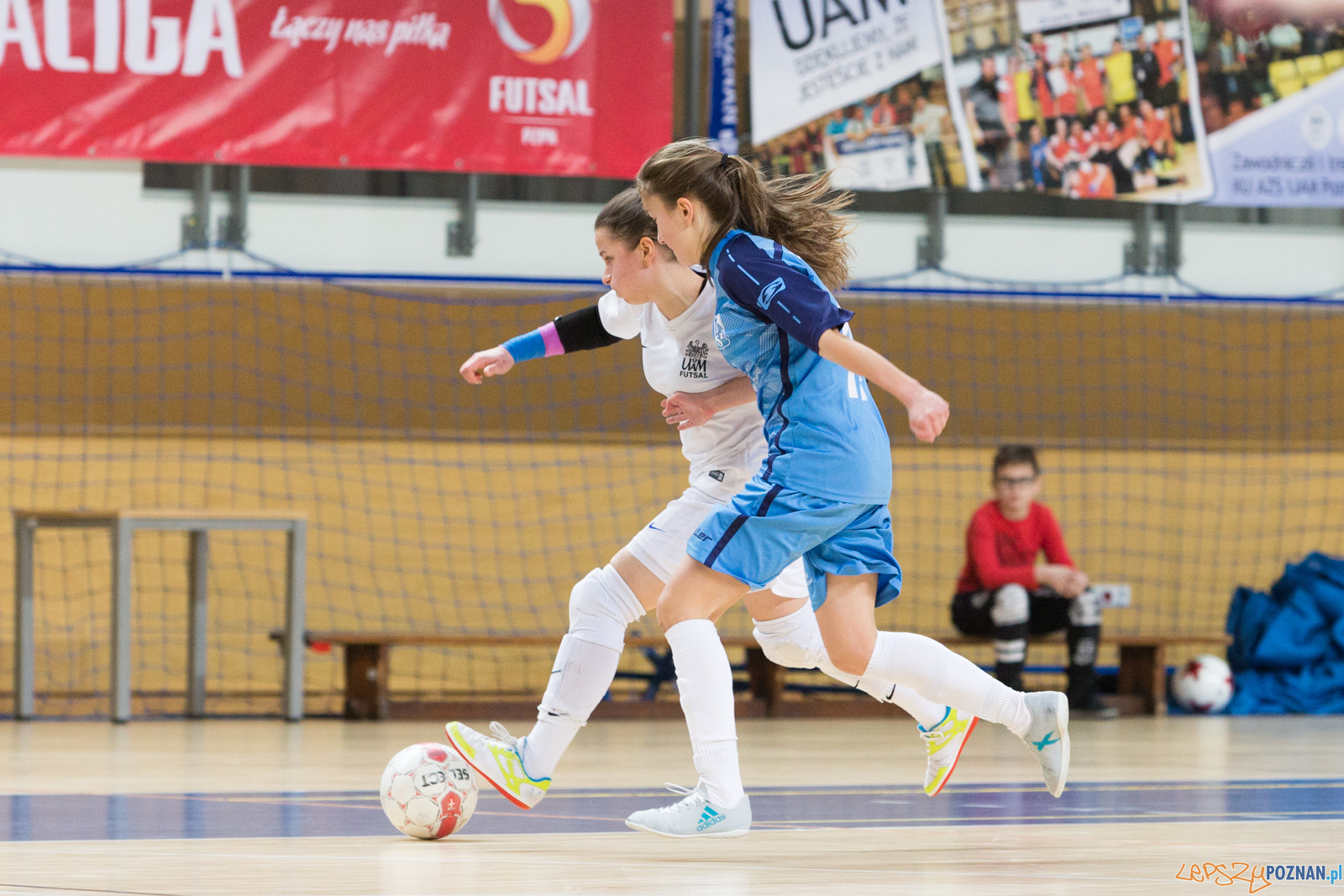 AZS UAM Poznań - AZS UW Warszawa Foto: lepszyPOZNAN.pl/Piotr Rychter AZS UAM Poznań - AZS UW Warszawa Foto: lepszyPOZNAN.pl/Piotr Rychter