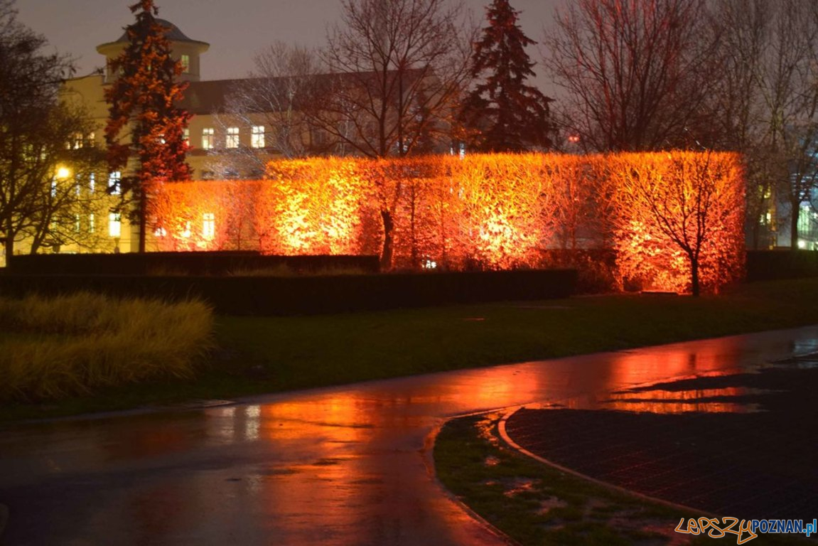 Skwer Suwarta Foto: Zarząd Zieleni Miejskiej Skwer Suwarta Foto: Zarząd Zieleni Miejskiej