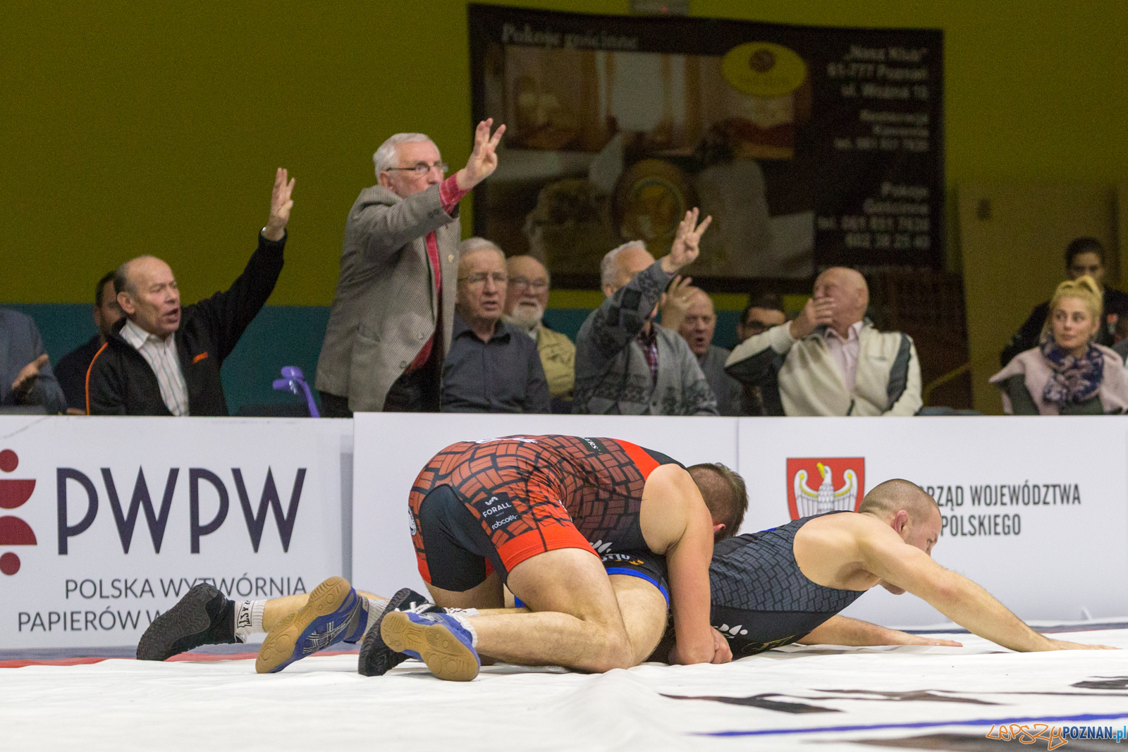 WZS WKS Grunwald – KS Sobieski Poznań - Boruta-Olimpijczyk Wr Foto: lepszyPOZNAN.pl/Piotr Rychter WZS WKS Grunwald – KS Sobieski Poznań - Boruta-Olimpijczyk Wr Foto: lepszyPOZNAN.pl/Piotr Rychter