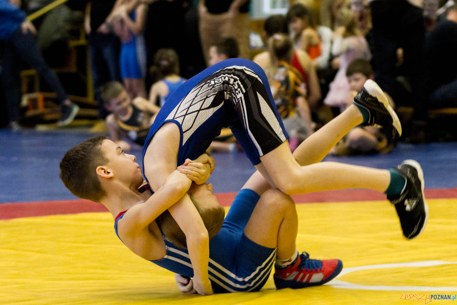 Zapasy z Gwiazdorem Foto: lepszyPOZNAN.pl / Ewelina Jaskowiak Zapasy z Gwiazdorem Foto: lepszyPOZNAN.pl / Ewelina Jaskowiak