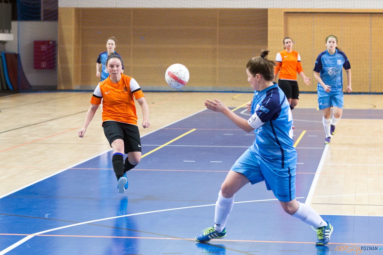 AZS UAM Poznań - AZS UW Warszawa Foto: lepszyPOZNAN.pl/Piotr Rychter AZS UAM Poznań - AZS UW Warszawa Foto: lepszyPOZNAN.pl/Piotr Rychter