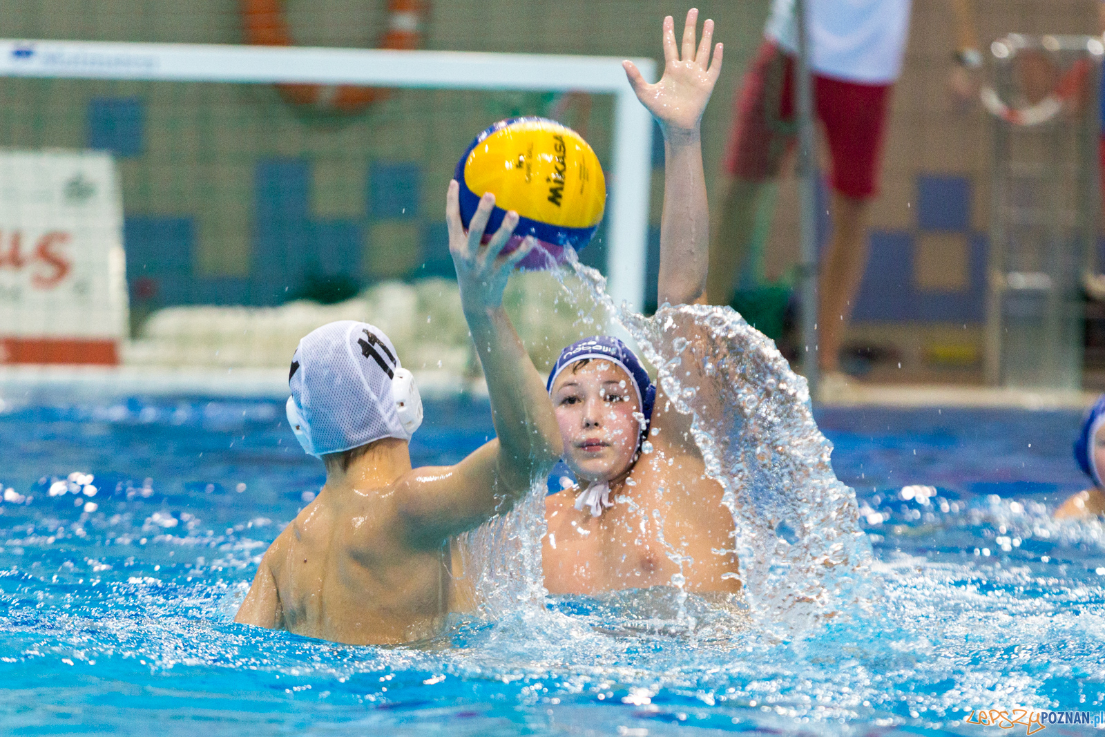 Junior Malta Waterpolo Cup 2017 Foto: lepszyPOZNAN.pl/Piotr Rychter Junior Malta Waterpolo Cup 2017 Foto: lepszyPOZNAN.pl/Piotr Rychter