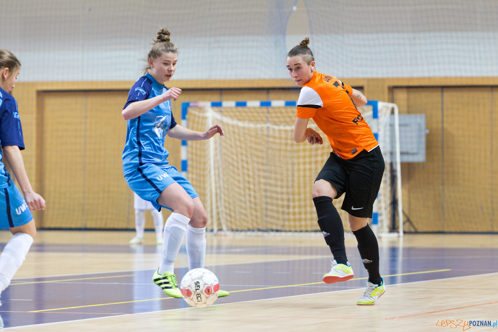 AZS UAM Poznań - AZS UW Warszawa Foto: lepszyPOZNAN.pl/Piotr Rychter AZS UAM Poznań - AZS UW Warszawa Foto: lepszyPOZNAN.pl/Piotr Rychter