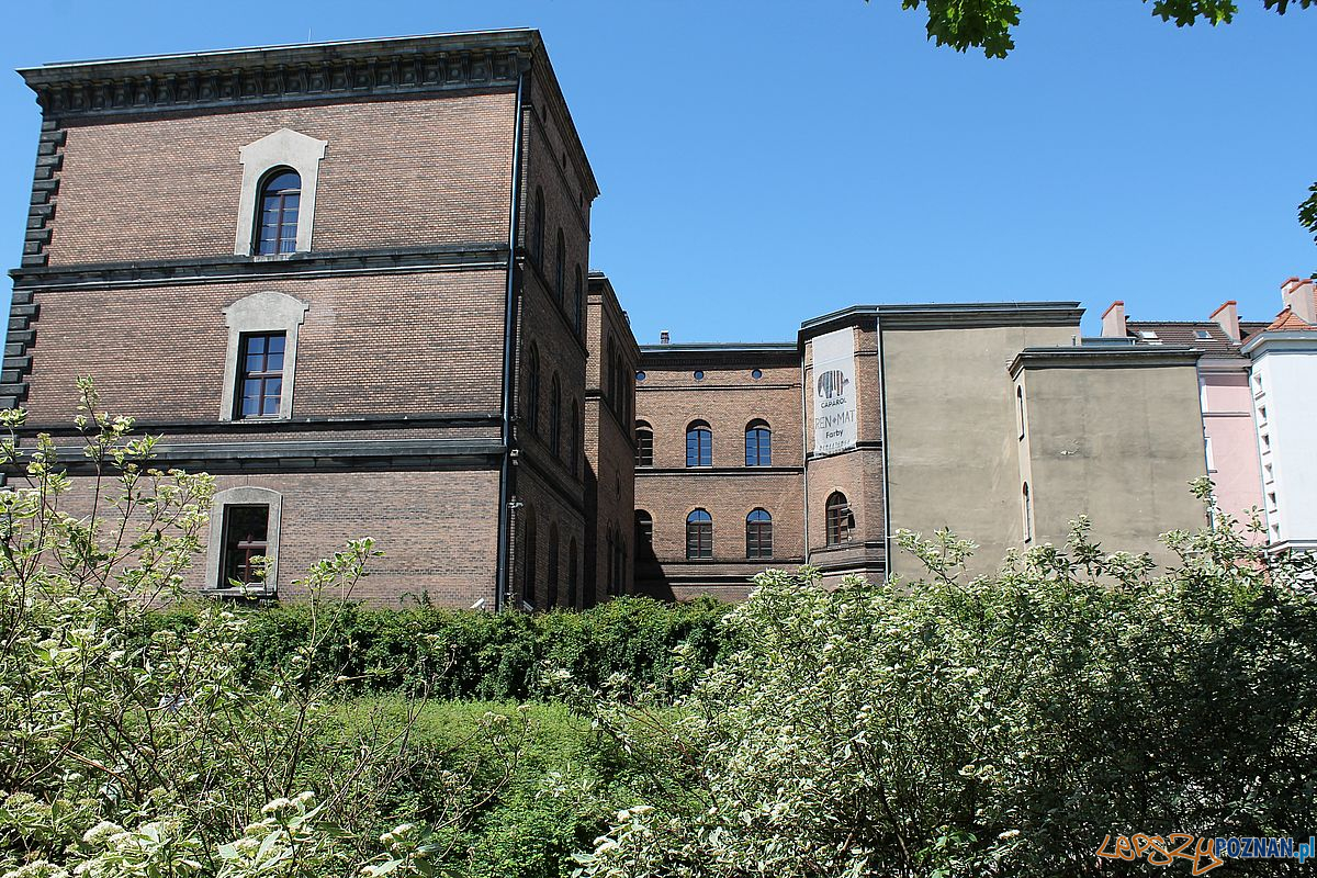 Skwer Wilhelmiego Foto: T. Dworek / ROSM Skwer Wilhelmiego Foto: T. Dworek / ROSM