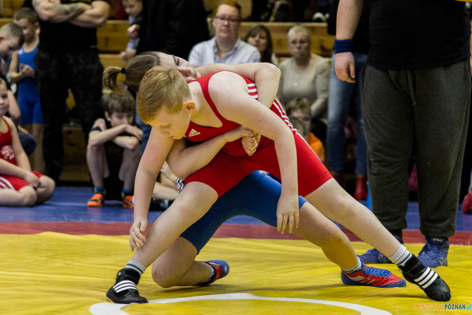 Zapasy z Gwiazdorem Foto: lepszyPOZNAN.pl / Ewelina Jaskowiak Zapasy z Gwiazdorem Foto: lepszyPOZNAN.pl / Ewelina Jaskowiak