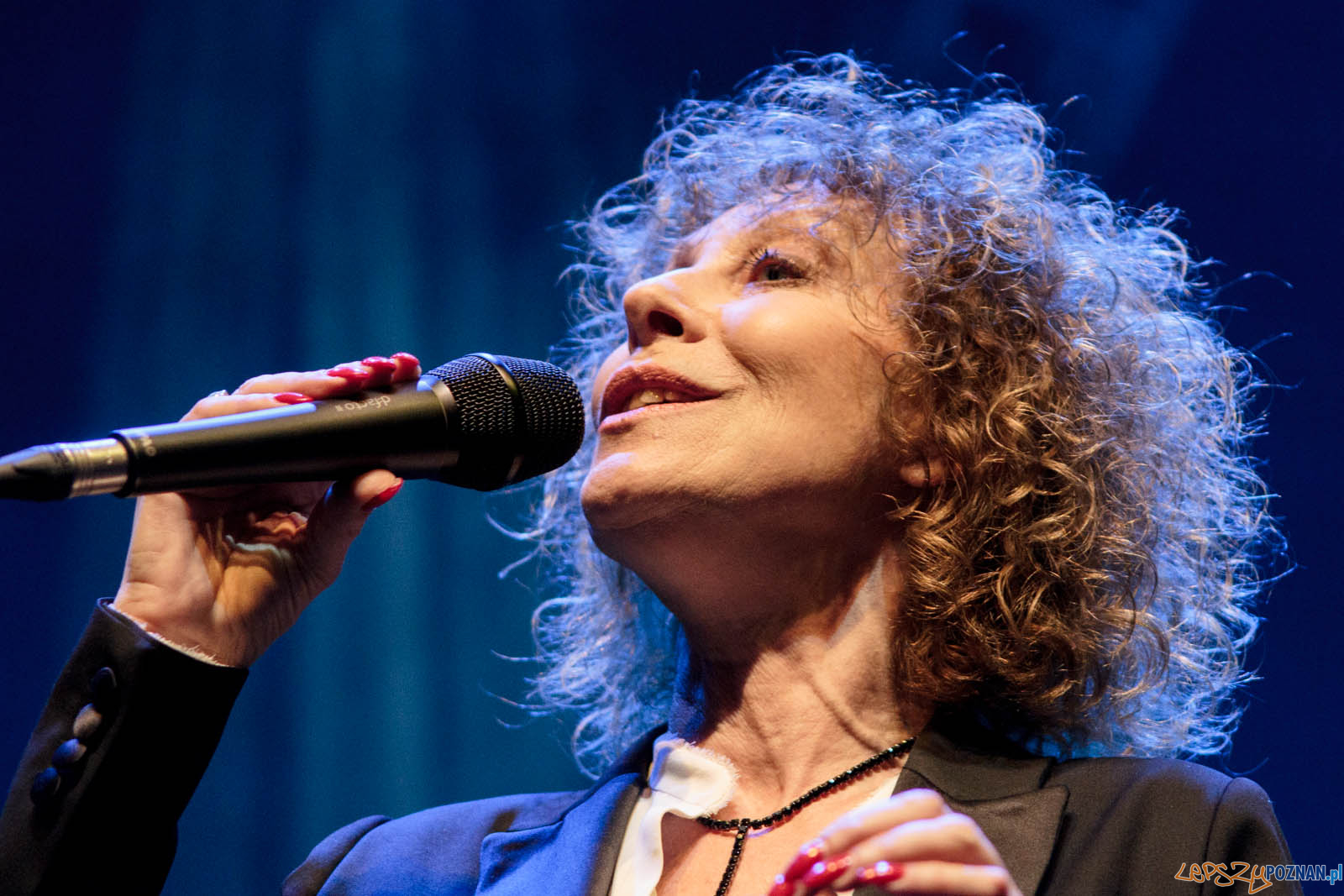 Gwiazdo Świeć, koledo leć Foto: lepszyPOZNAN.pl / Ewelina Jaskowiak Gwiazdo Świeć, koledo leć Foto: lepszyPOZNAN.pl / Ewelina Jaskowiak